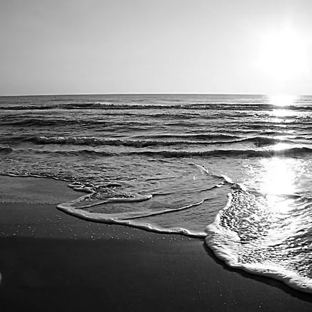 Lejlighed Terrazzo Sul Mare Ardea